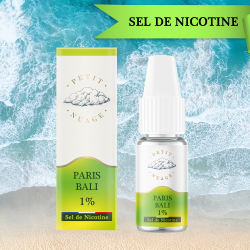 SEL DE NICOTINE PARIS BALI