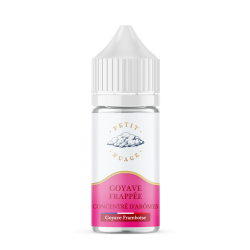 CONCENTRÉ GOYAVE FRAPPÉE
