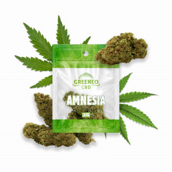 GREENEO - AMNESIA 2g