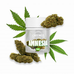 GREENEO - Amnesia Fleur CBD 5g