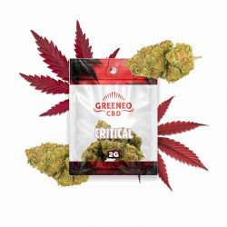 CRITICAL 2GR