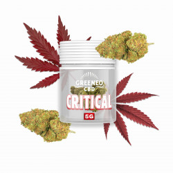 GREENEO - Critical fleur...