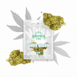 GREENEO - White widow fleur...
