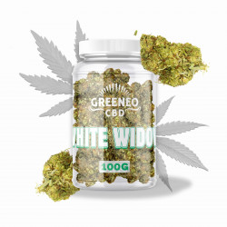 GREENEO - White widow fleur...