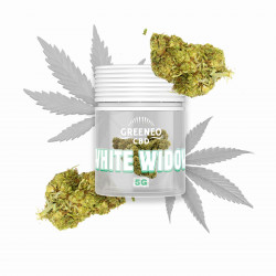 GREENEO - White widow fleur...