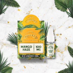 Pack de 6 : Mango Haze 10ML