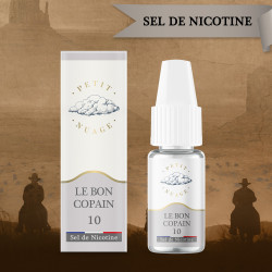 SEL DE NICOTINE LE BON COPAIN