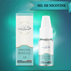 SEL DE NICOTINE MENTHE BORÉALE