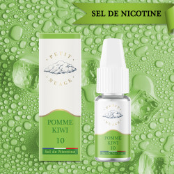 SEL DE NICOTINE POMME KIWI