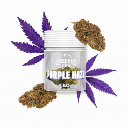 GREENEO- PURPLE HAZE FLEUR 5GR