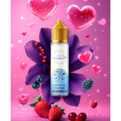 PETIT NUAGE - Coup De Foudre